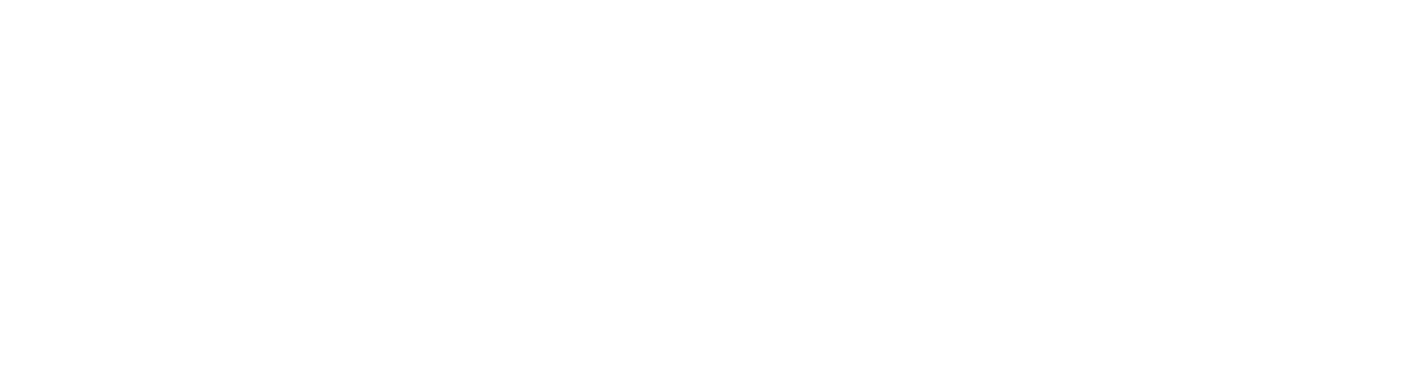 Zenture_logo_weiß